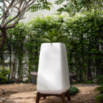 Plump : Tall (ขาสีเข้ม)