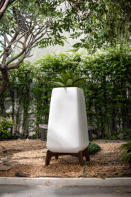 Plump : Tall (ขาสีเข้ม)