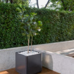 Melo Cube กระถางไฟเบอร์